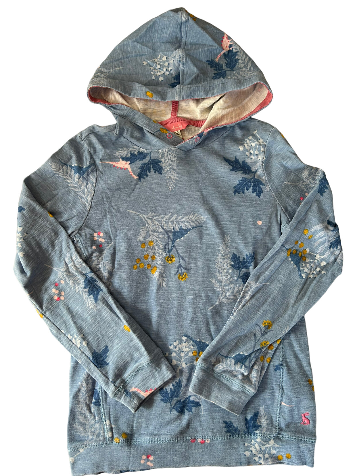 Joules 2025 dinosaur hoodie